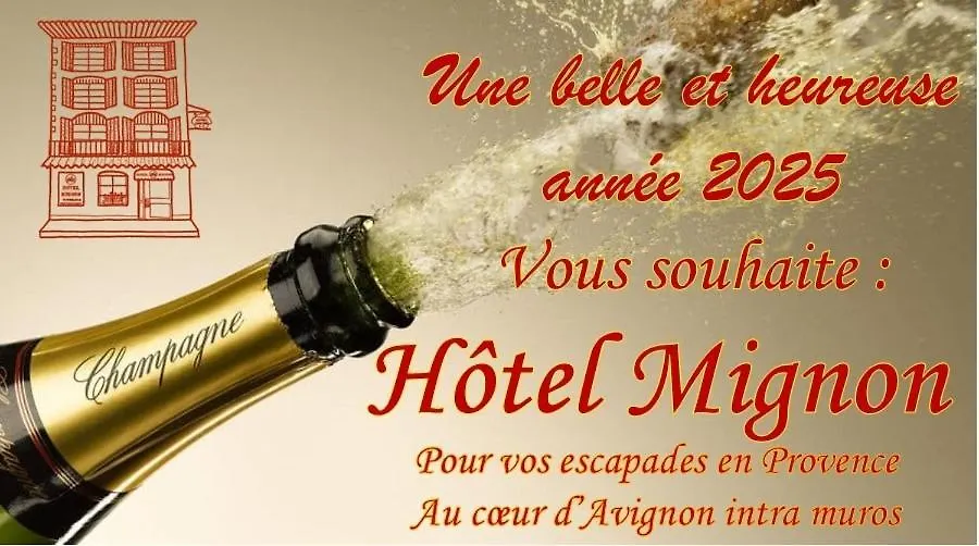 Hotel Mignon Avignon France